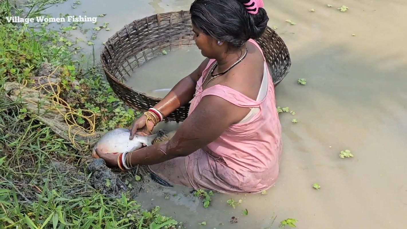 Amazing Village Women Net Fishing Video    Mouni F