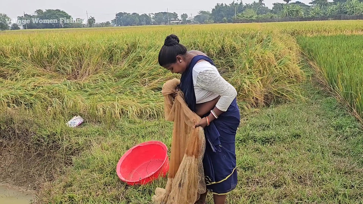 Amazing Village Women Net Fishing Video    Village