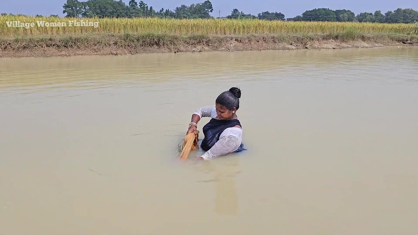 Amazing Village Women Net Fishing Video    Village