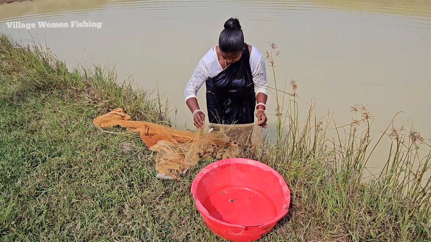 Amazing Village Women Net Fishing Video    Village