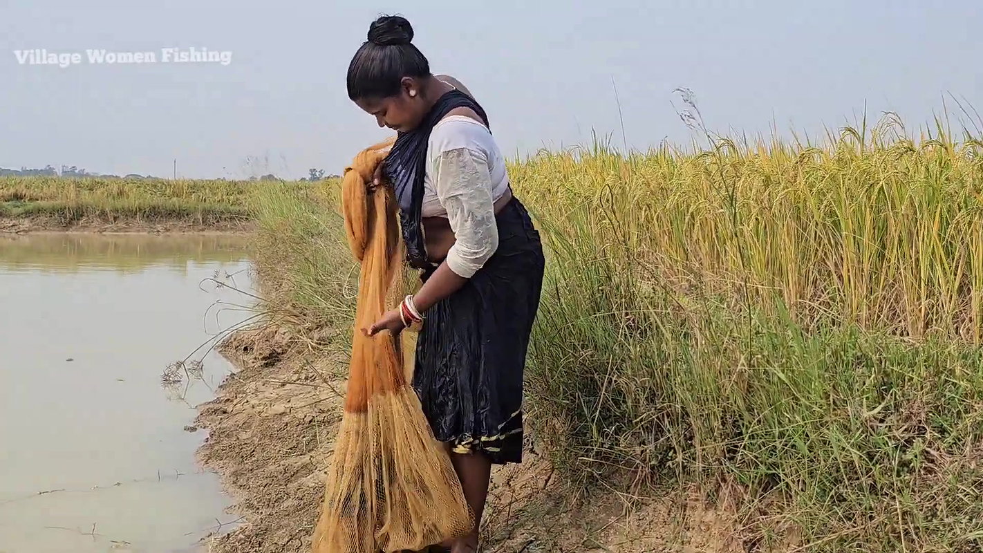 Amazing Village Women Net Fishing Video    Village