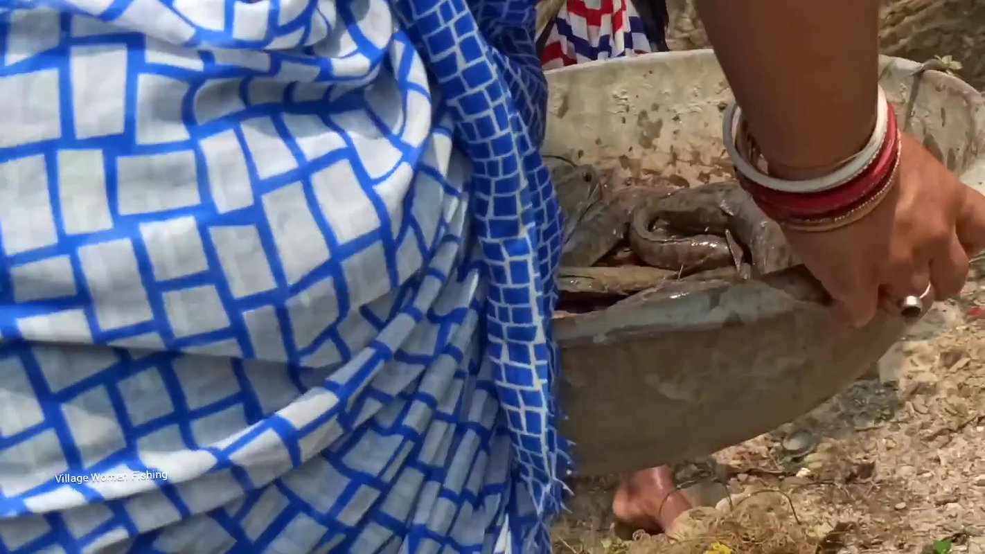 Amazing Village Women net fishing   Best fishing v