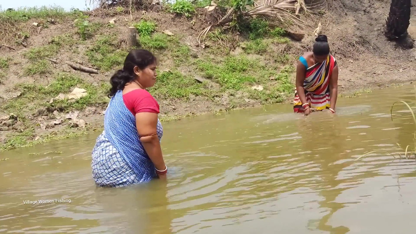 Amazing Village Women net fishing   Best fishing v