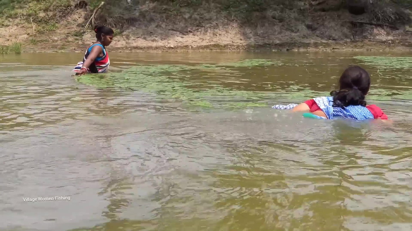 Amazing Village Women net fishing   Best fishing v