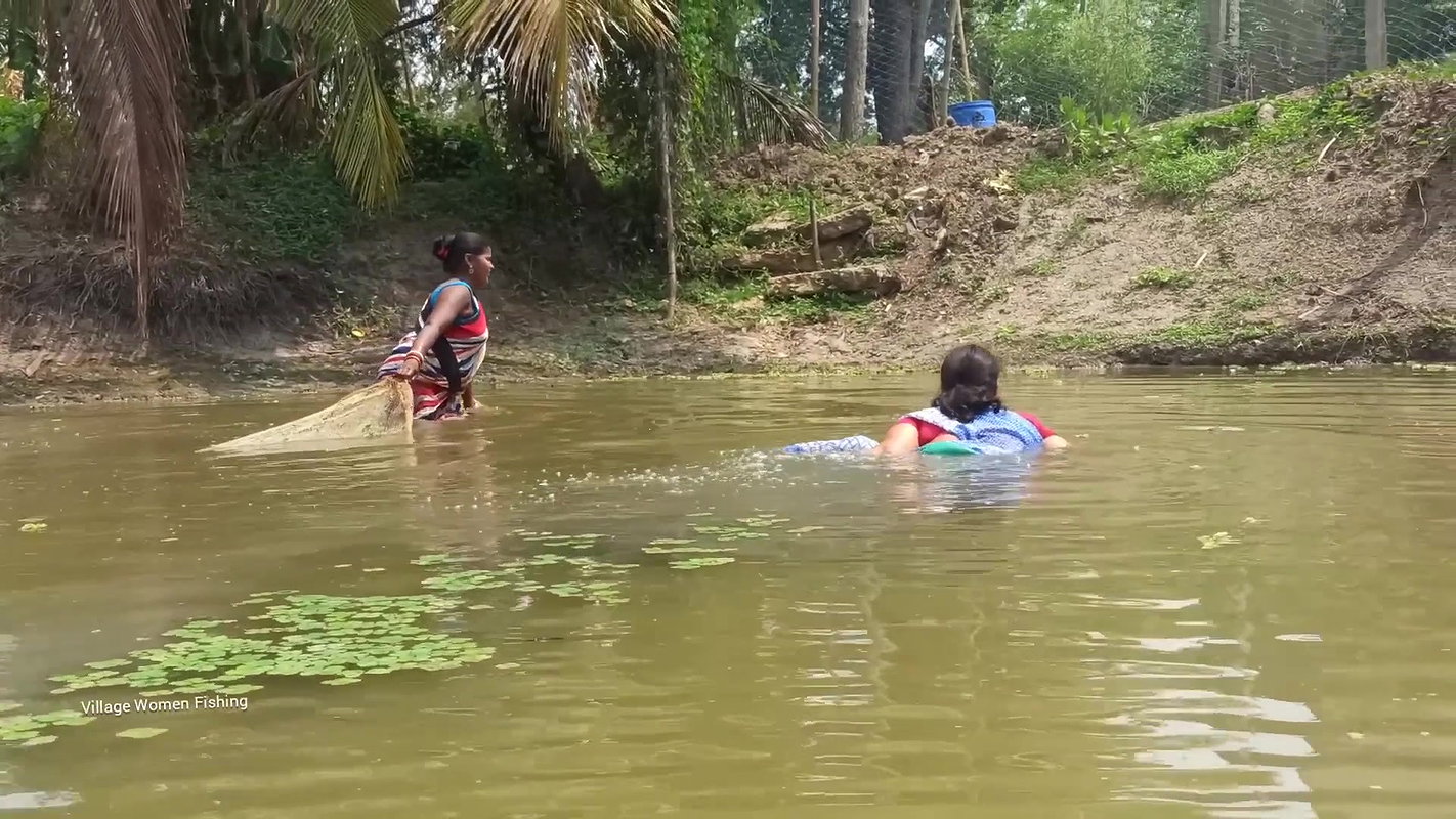Amazing Village Women net fishing   Best fishing v