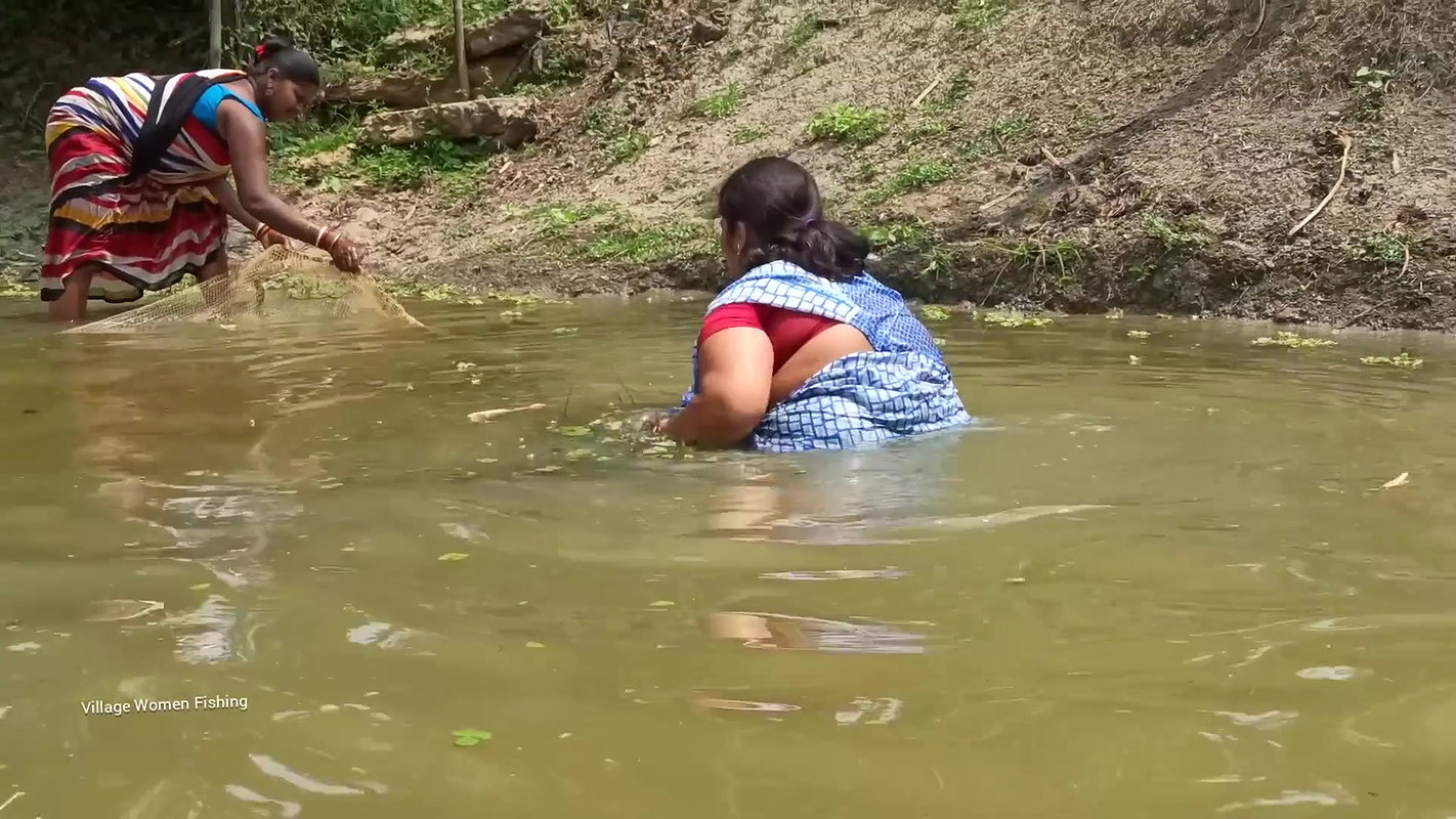 Amazing Village Women net fishing   Best fishing v