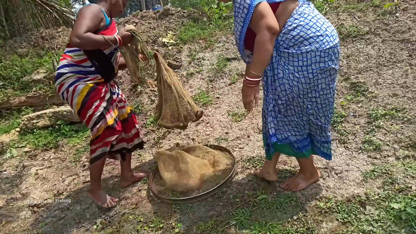 Amazing Village Women net fishing   Best fishing v