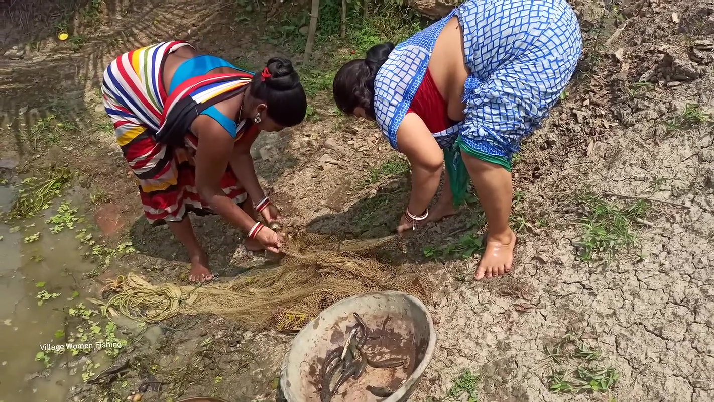 Amazing Village Women net fishing   Best fishing v