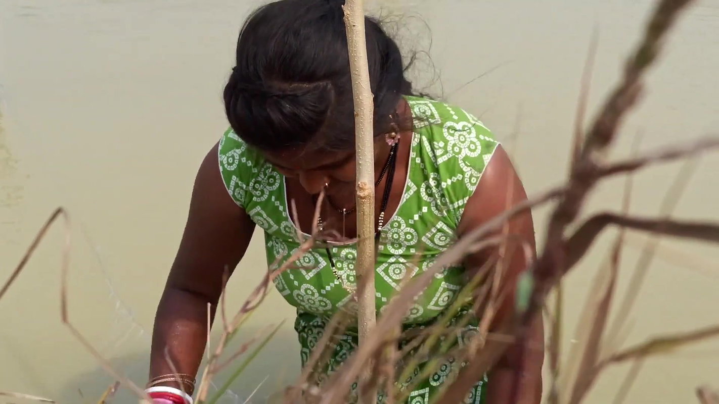 Amazing Village Women Net fishing   Big fish catch