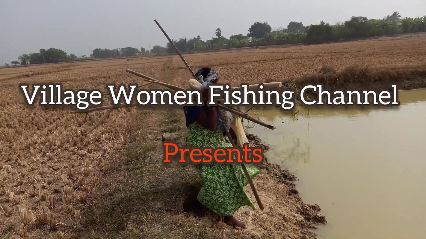 Amazing Village Women Net fishing   Big fish catch