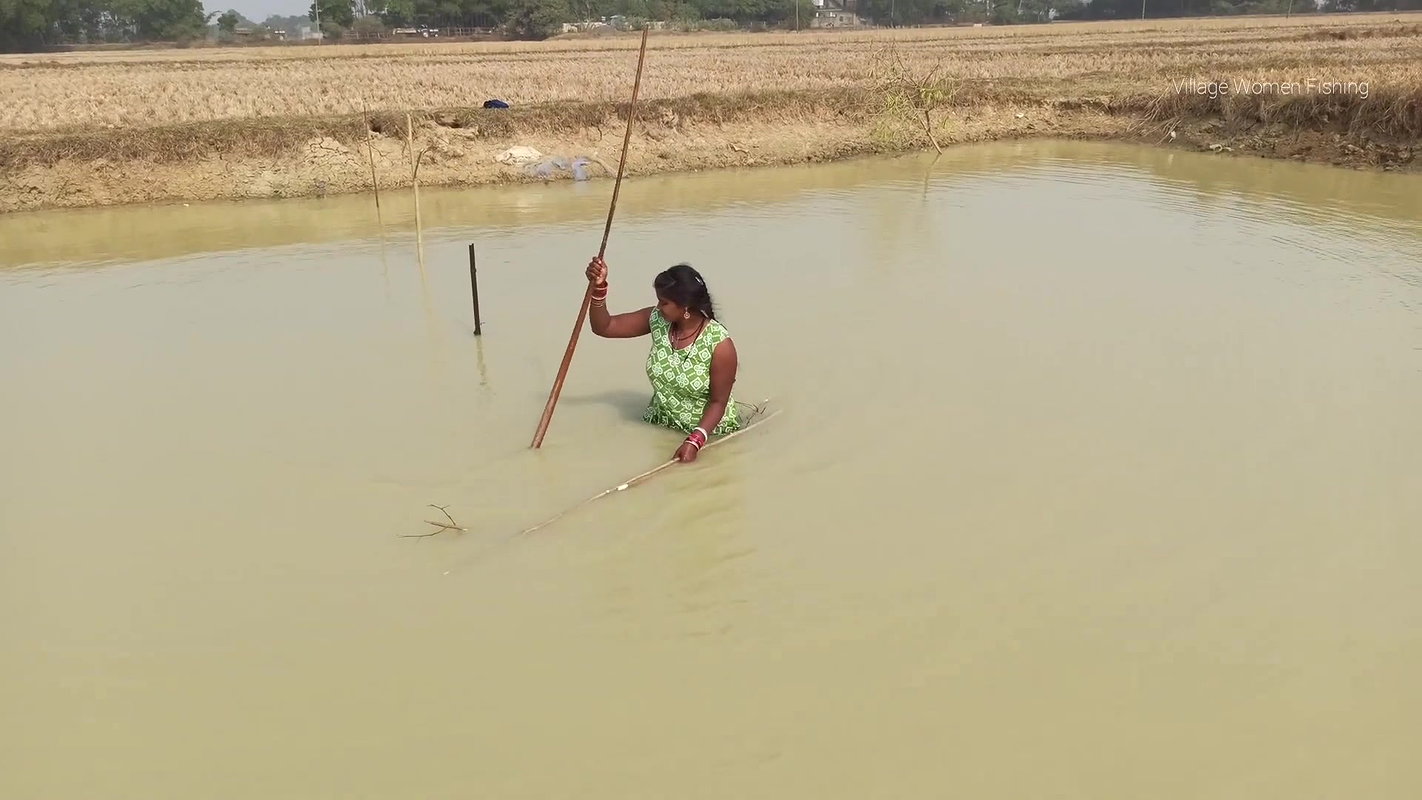 Amazing Village Women Net fishing   Big fish catch
