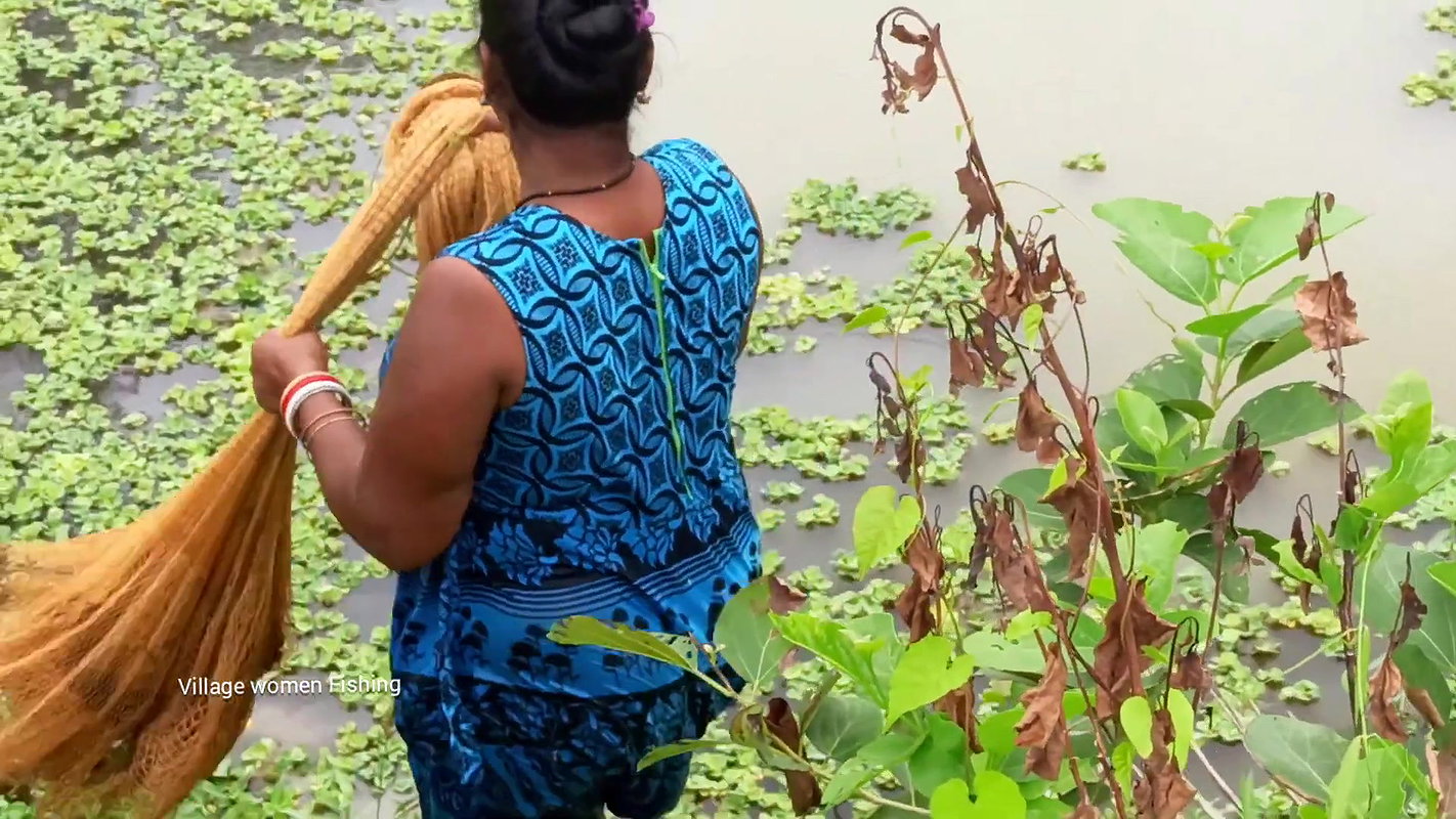 Amazing Village women net fishing   Big Fish