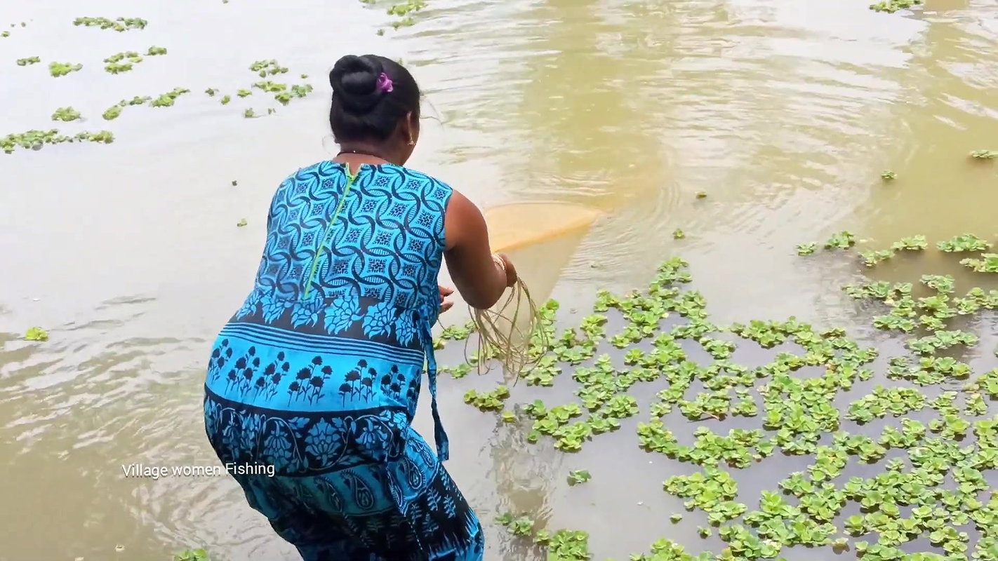 Amazing Village women net fishing   Big Fish