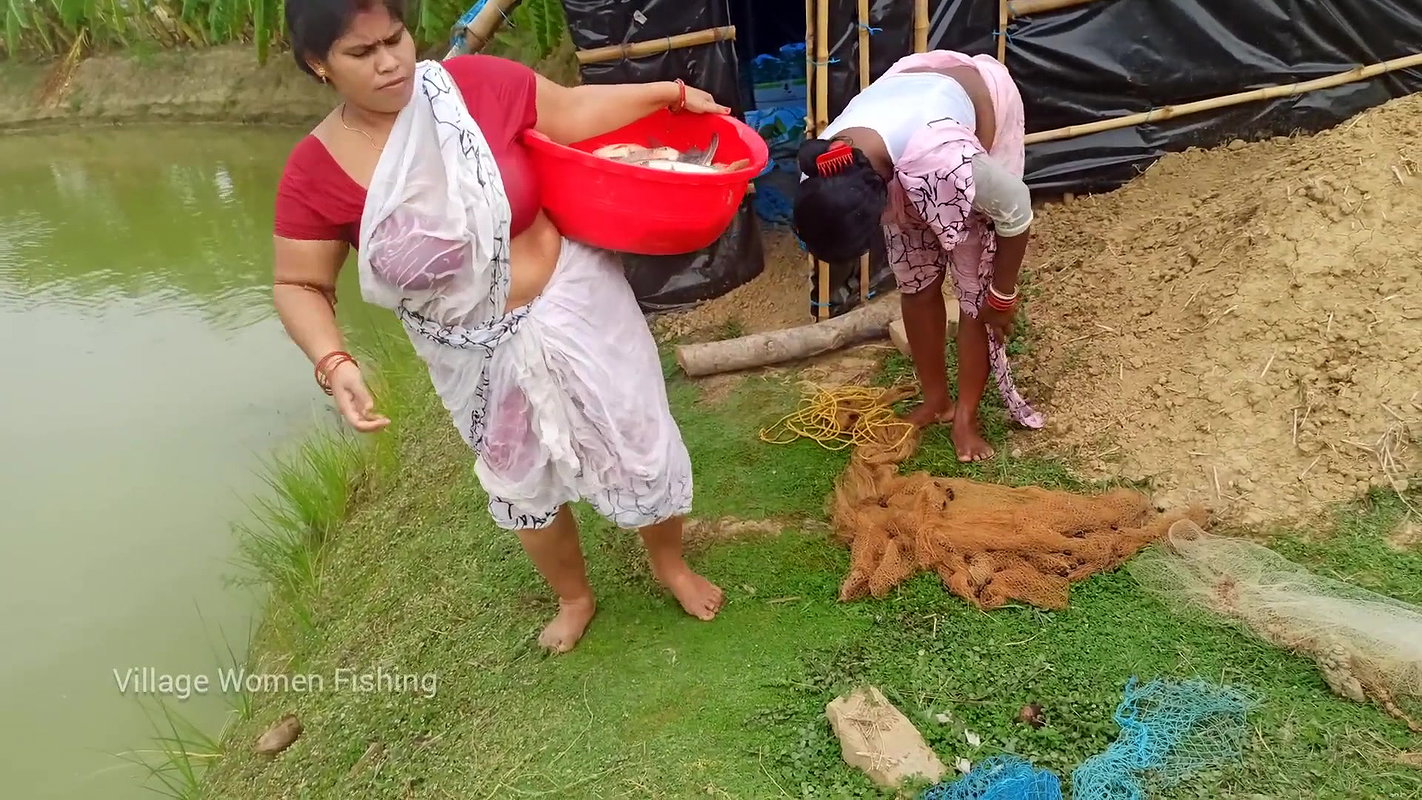 Amazing Village women net fishing   In fish pond