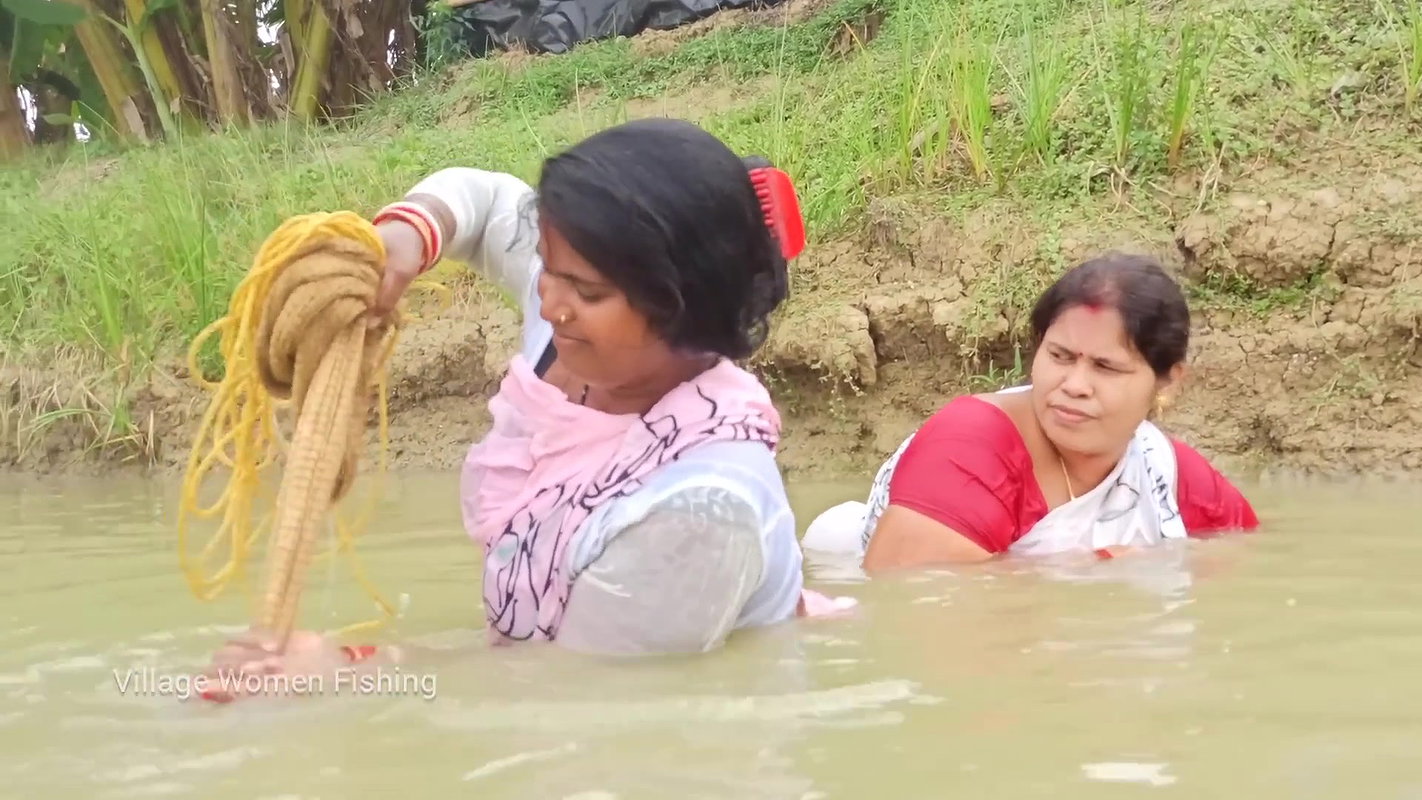 Amazing Village women net fishing   In fish pond