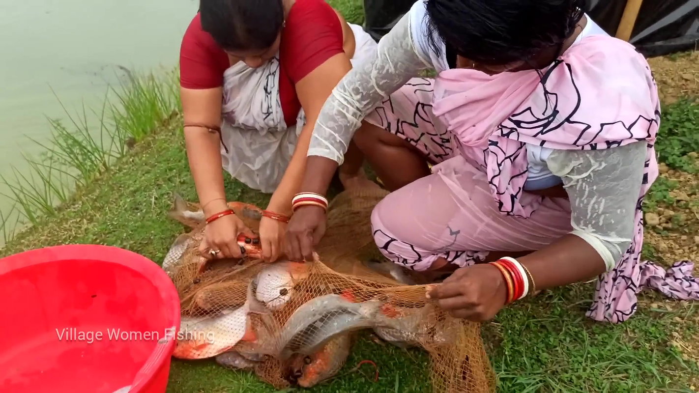 Amazing Village women net fishing   In fish pond