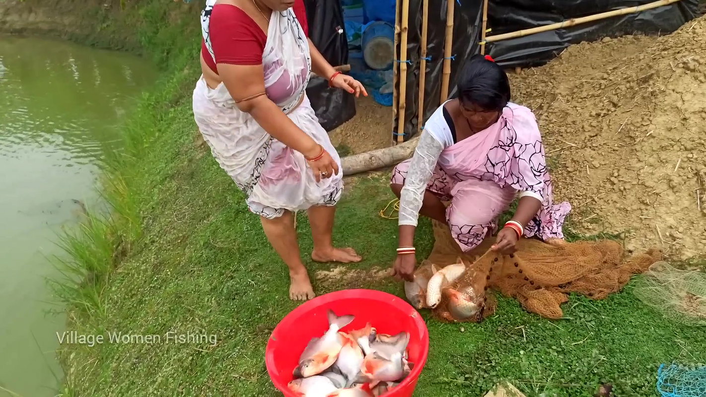 Amazing Village women net fishing   In fish pond