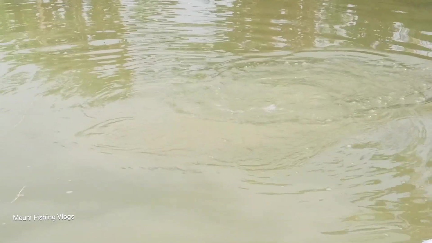 Amazing Village Women Net fishing   Mouni catching