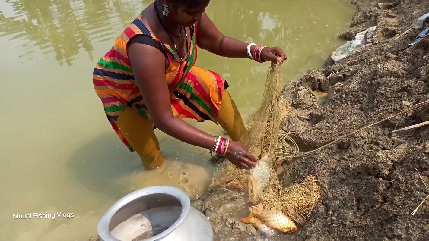 Amazing Village Women Net fishing   Mouni catching