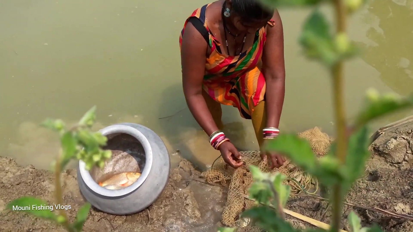 Amazing Village Women Net fishing   Mouni catching