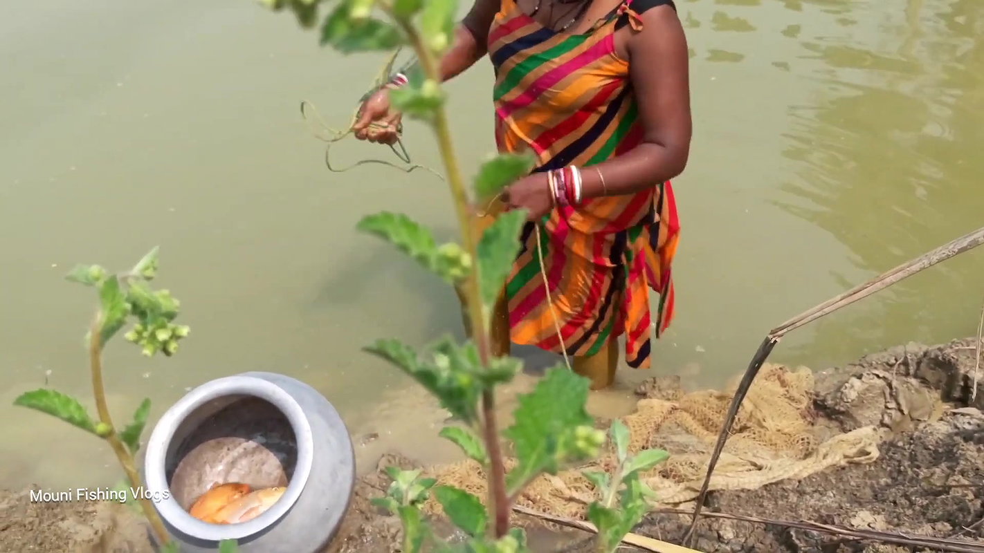 Amazing Village Women Net fishing   Mouni catching