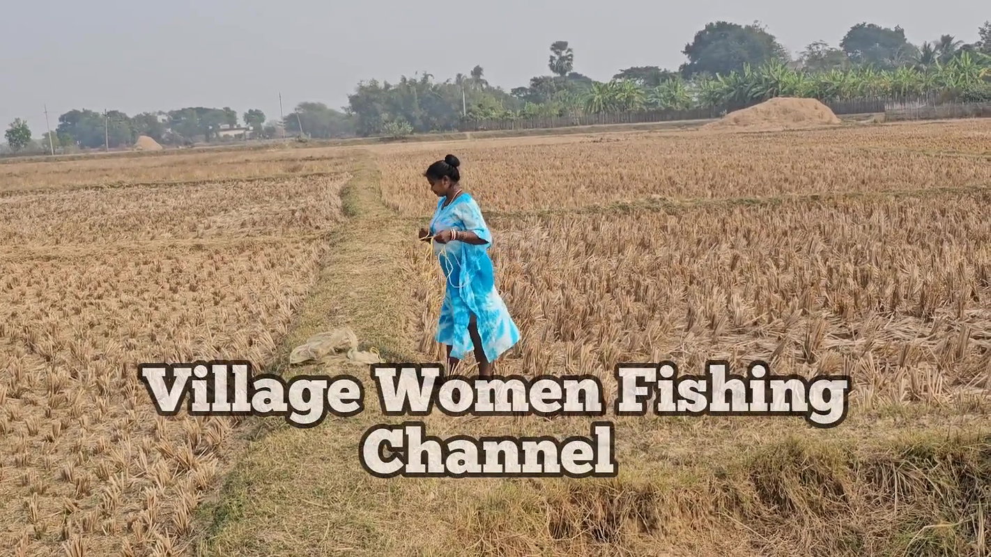 Amazing Village Women Net Fishing    Mouni Fishing