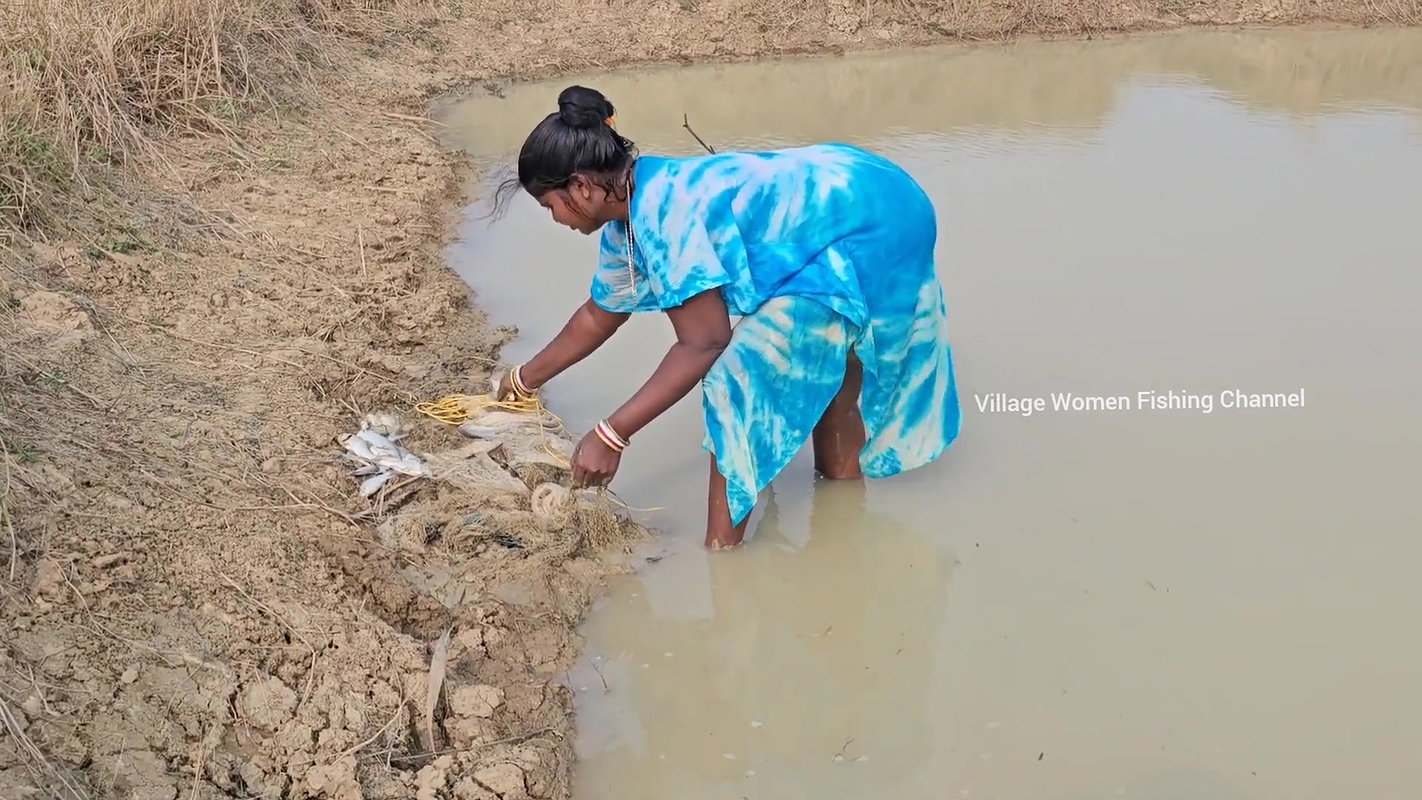 Amazing Village Women Net Fishing    Mouni Fishing