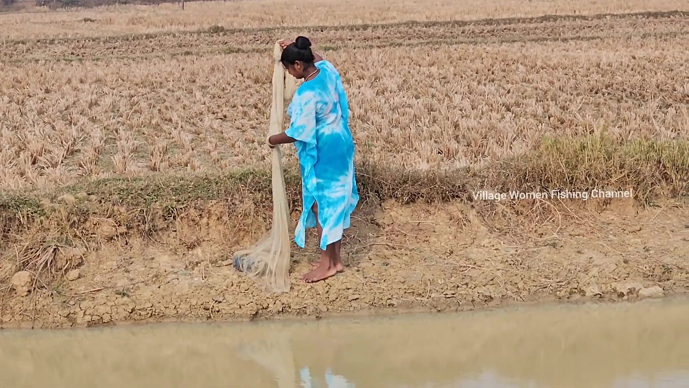 Amazing Village Women Net Fishing    Mouni Fishing