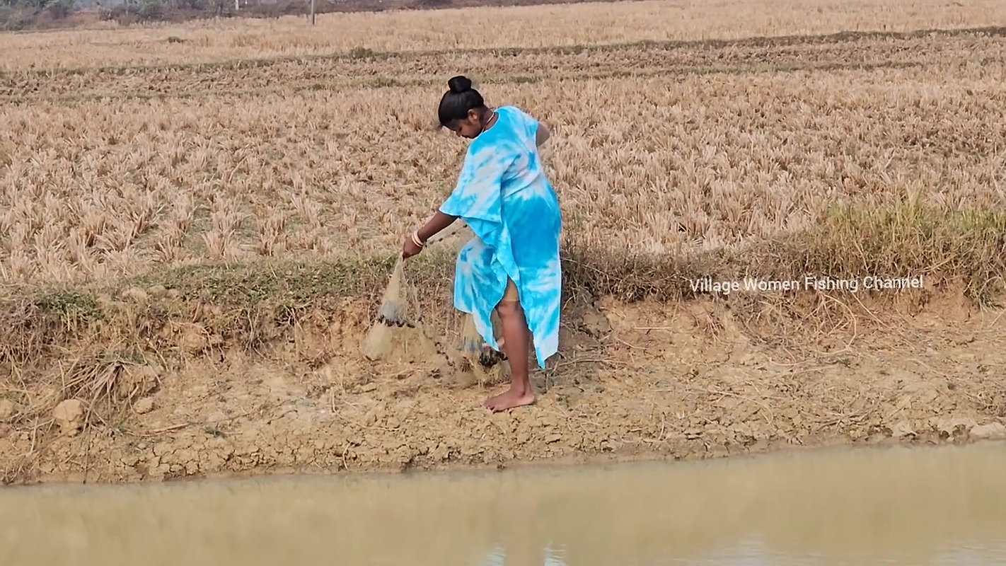 Amazing Village Women Net Fishing    Mouni Fishing