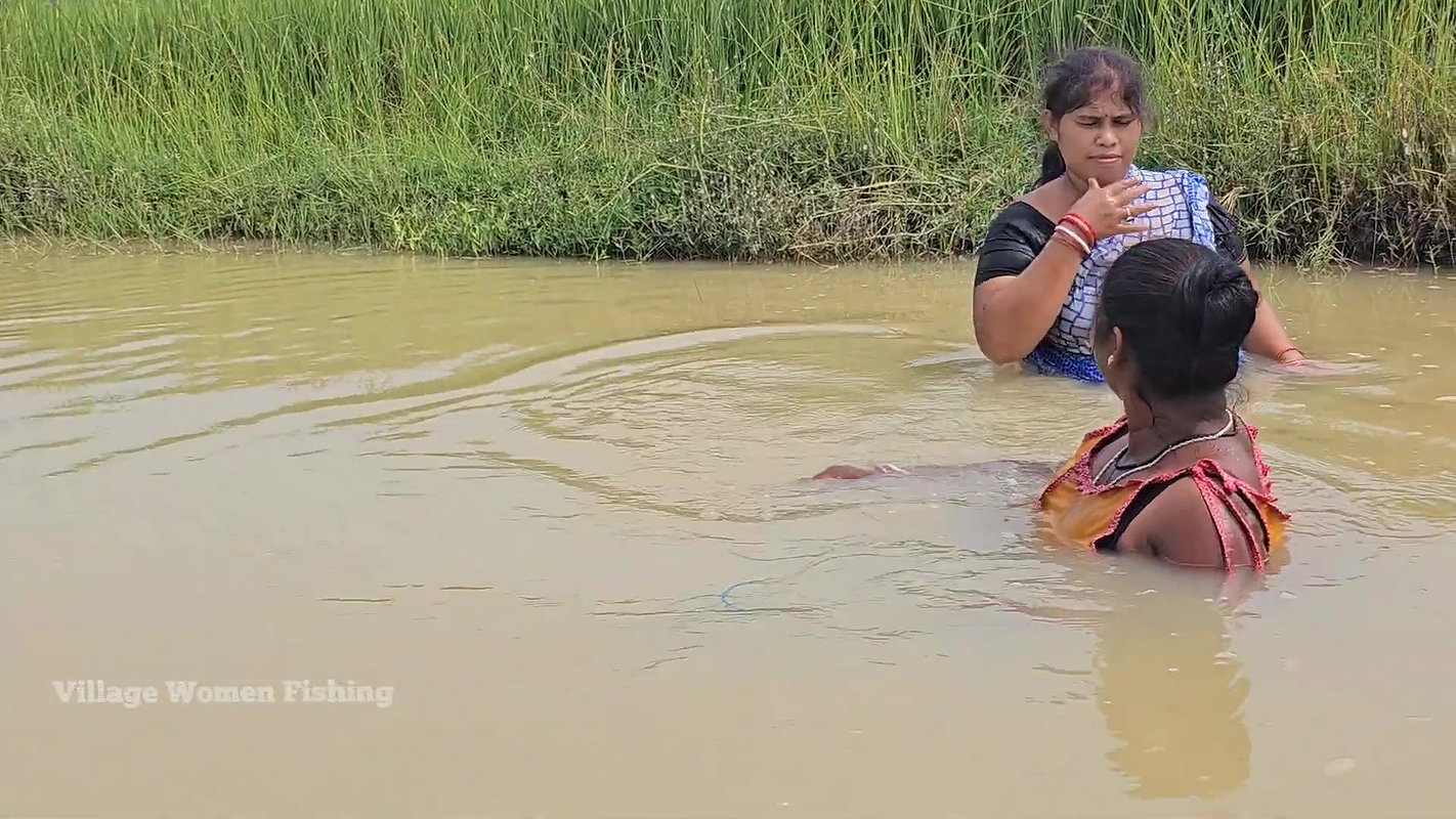 Amazing Village Women Net Fishing    Village Women