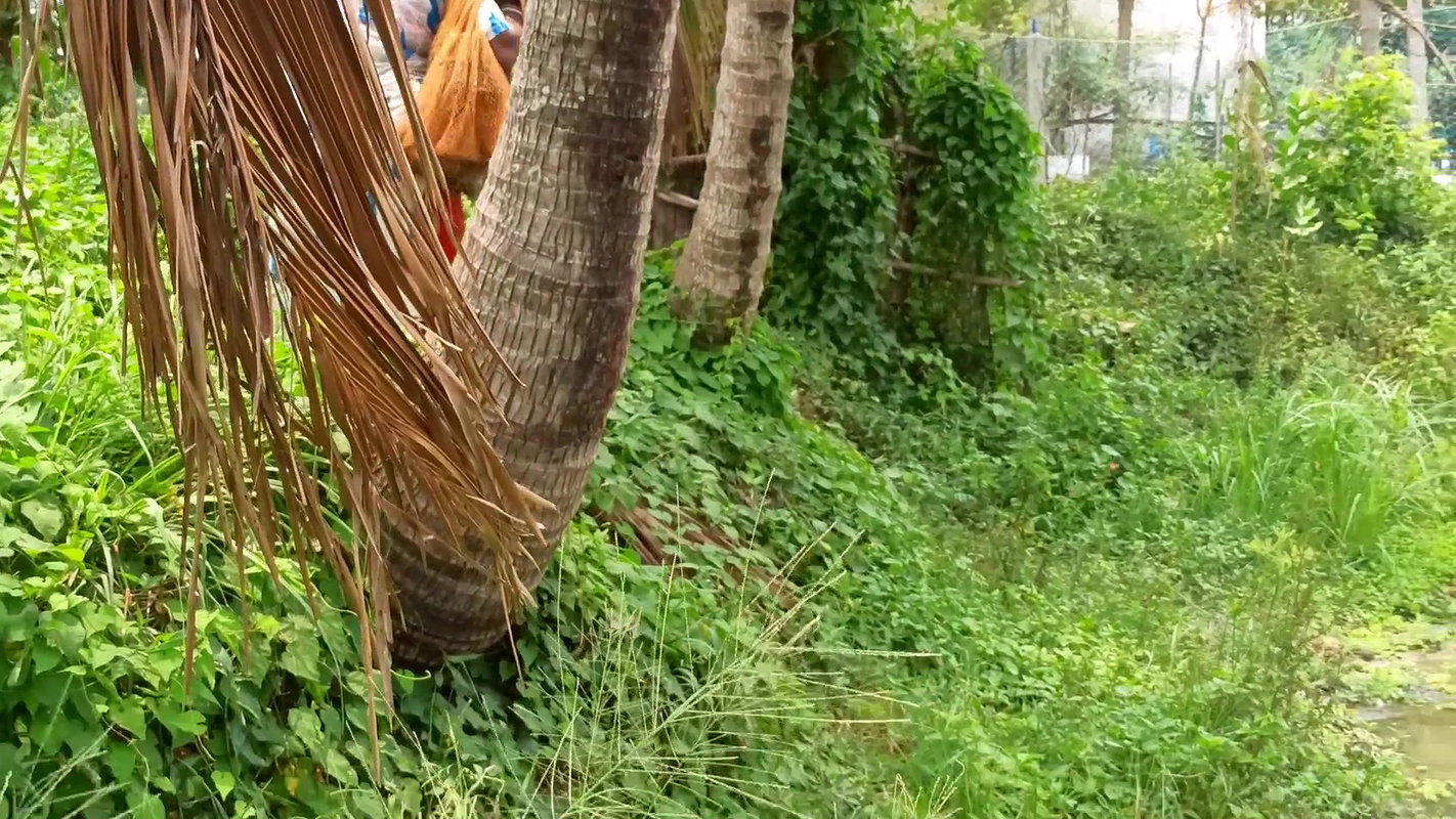 Amazing village women net fishing  Big catch