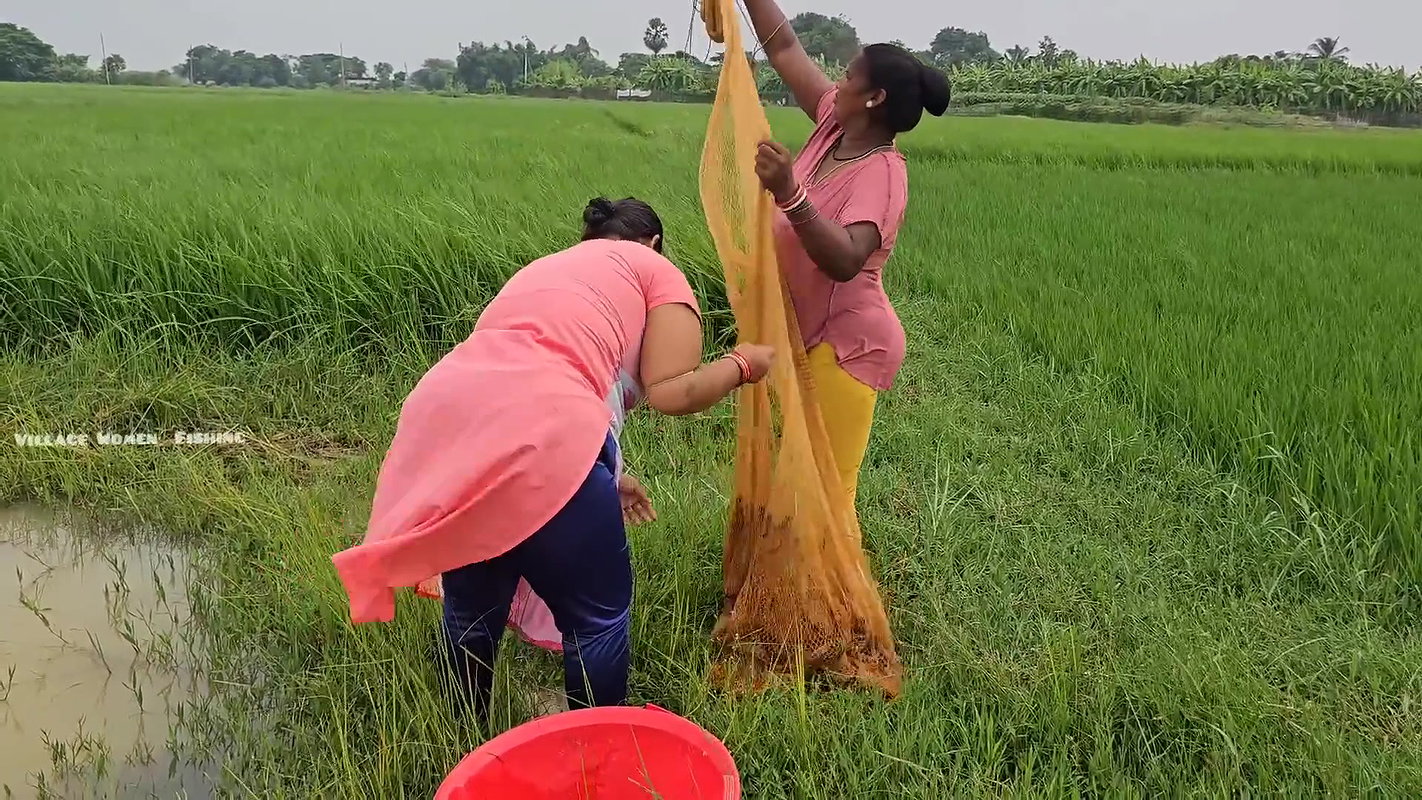 Amazing Village Women new Fishing video    Village