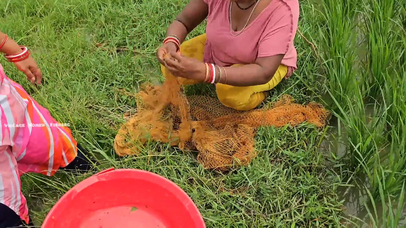 Amazing Village Women new Fishing video    Village