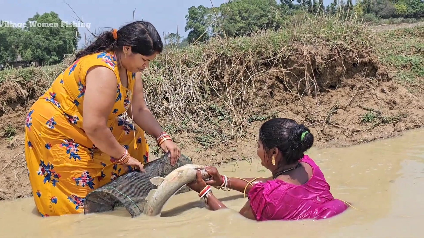 Amazing Village Women New Mud Water Fishing video