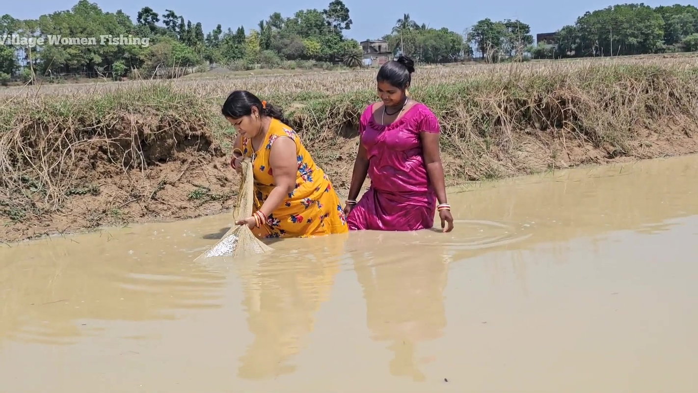Amazing Village Women New Mud Water Fishing video