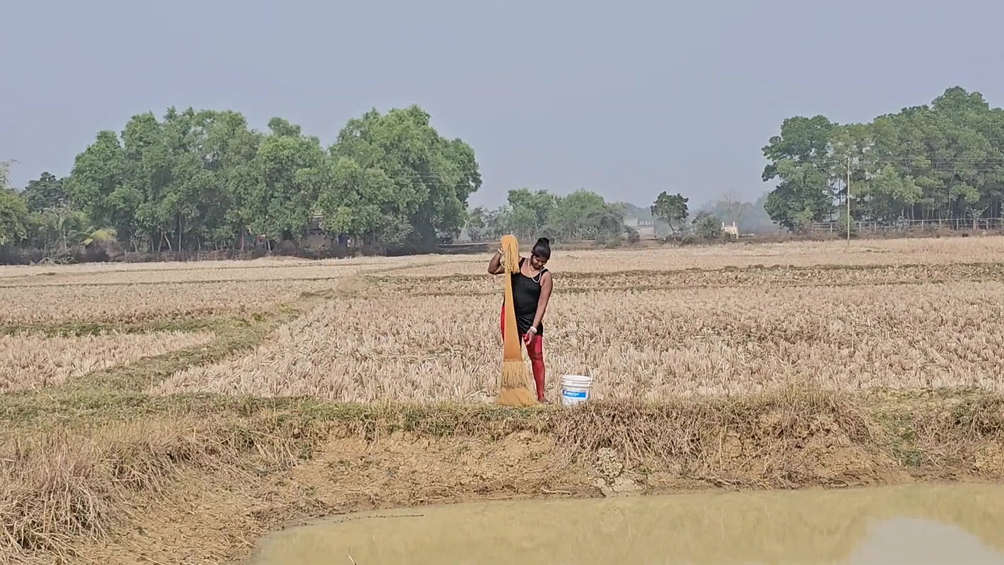 Amazing Village Women New Net fishing video    Mou