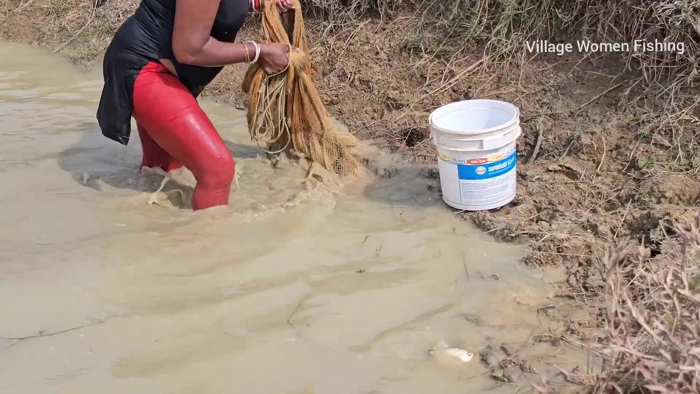 Amazing Village Women New Net fishing video    Mou