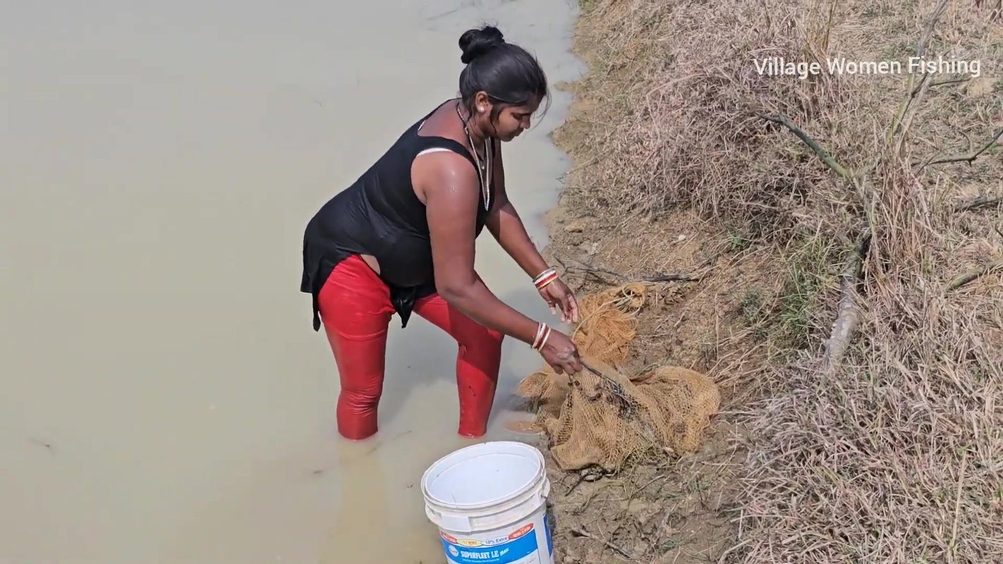 Amazing Village Women New Net fishing video    Mou