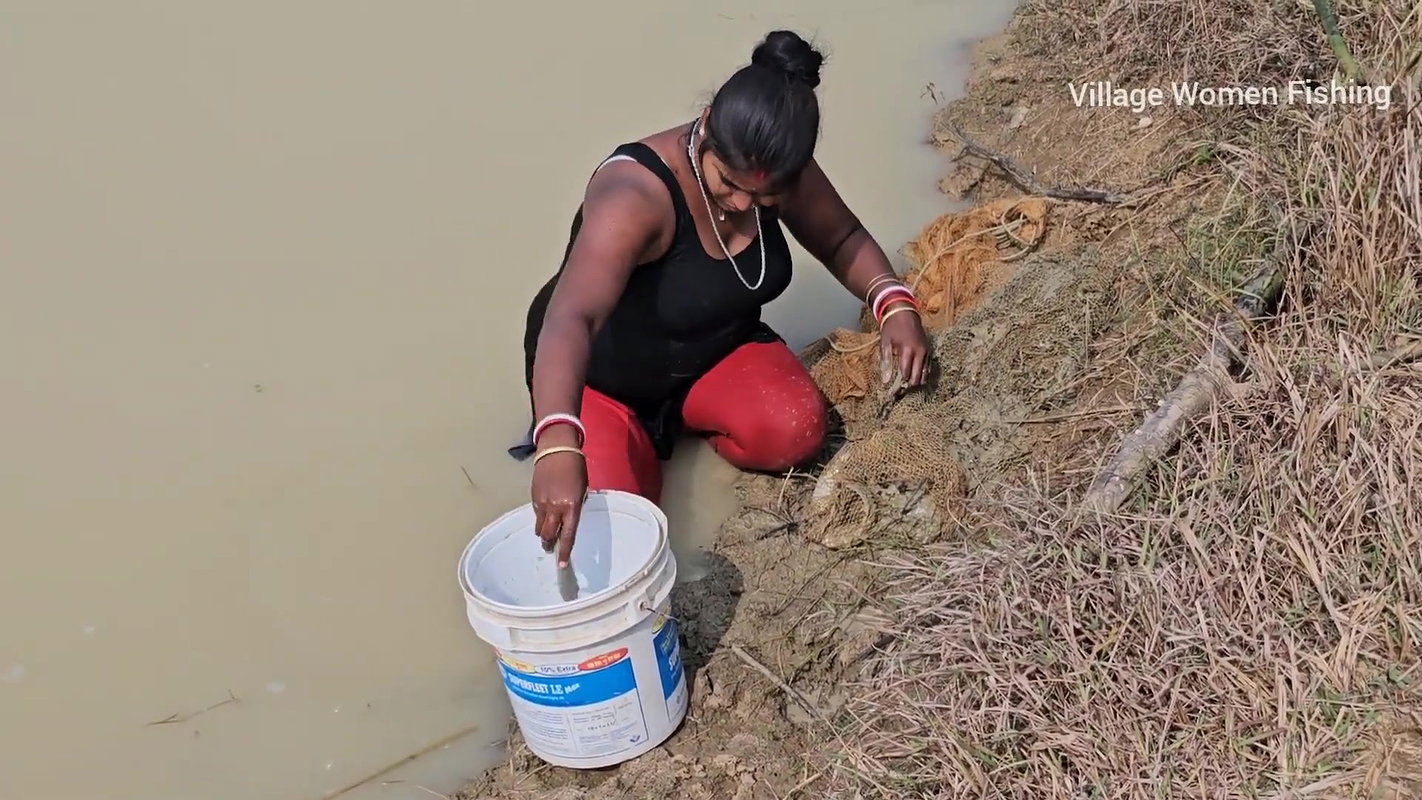 Amazing Village Women New Net fishing video    Mou