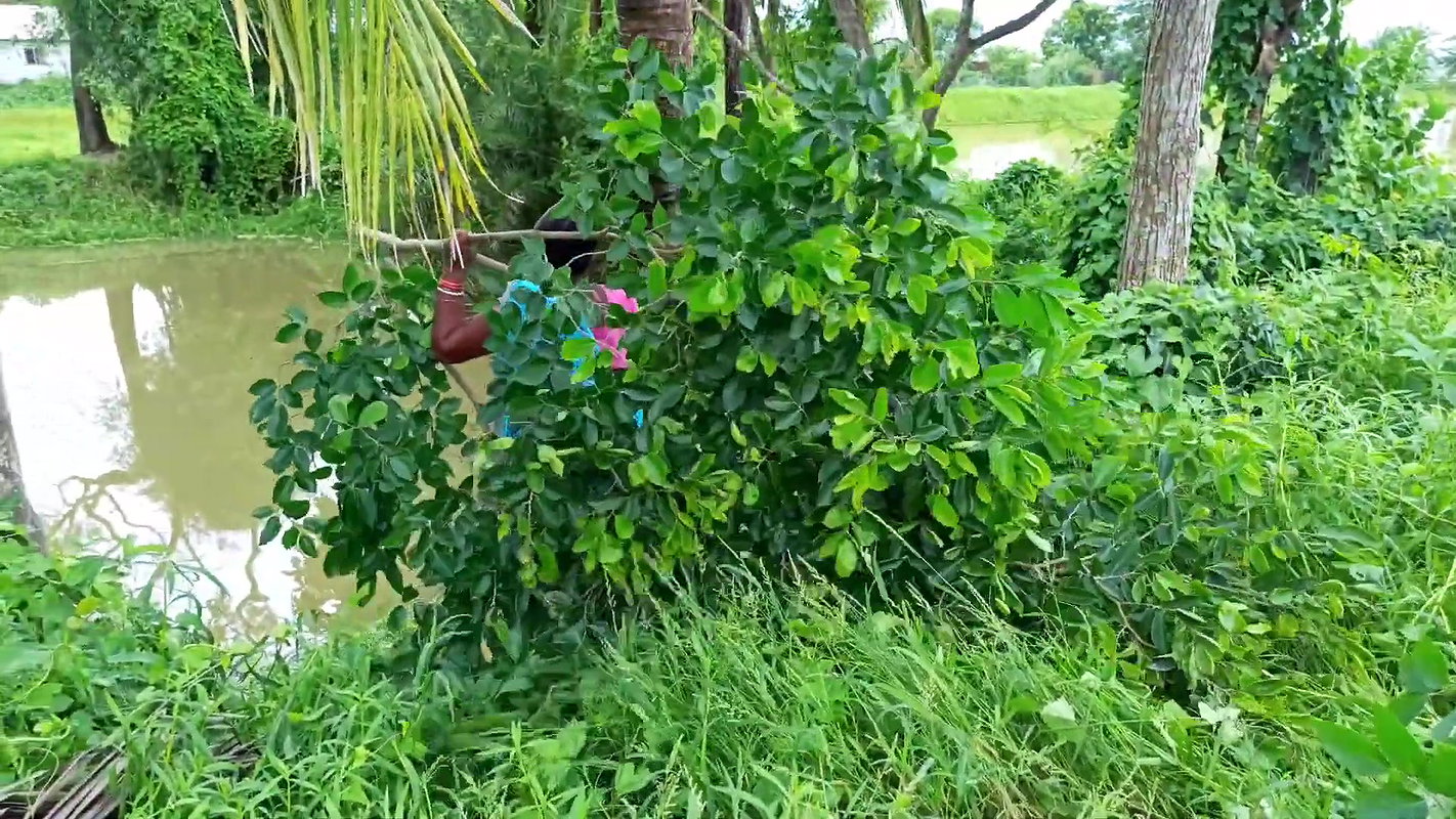 Amazing Village Women Traditional Fishing Techniqu