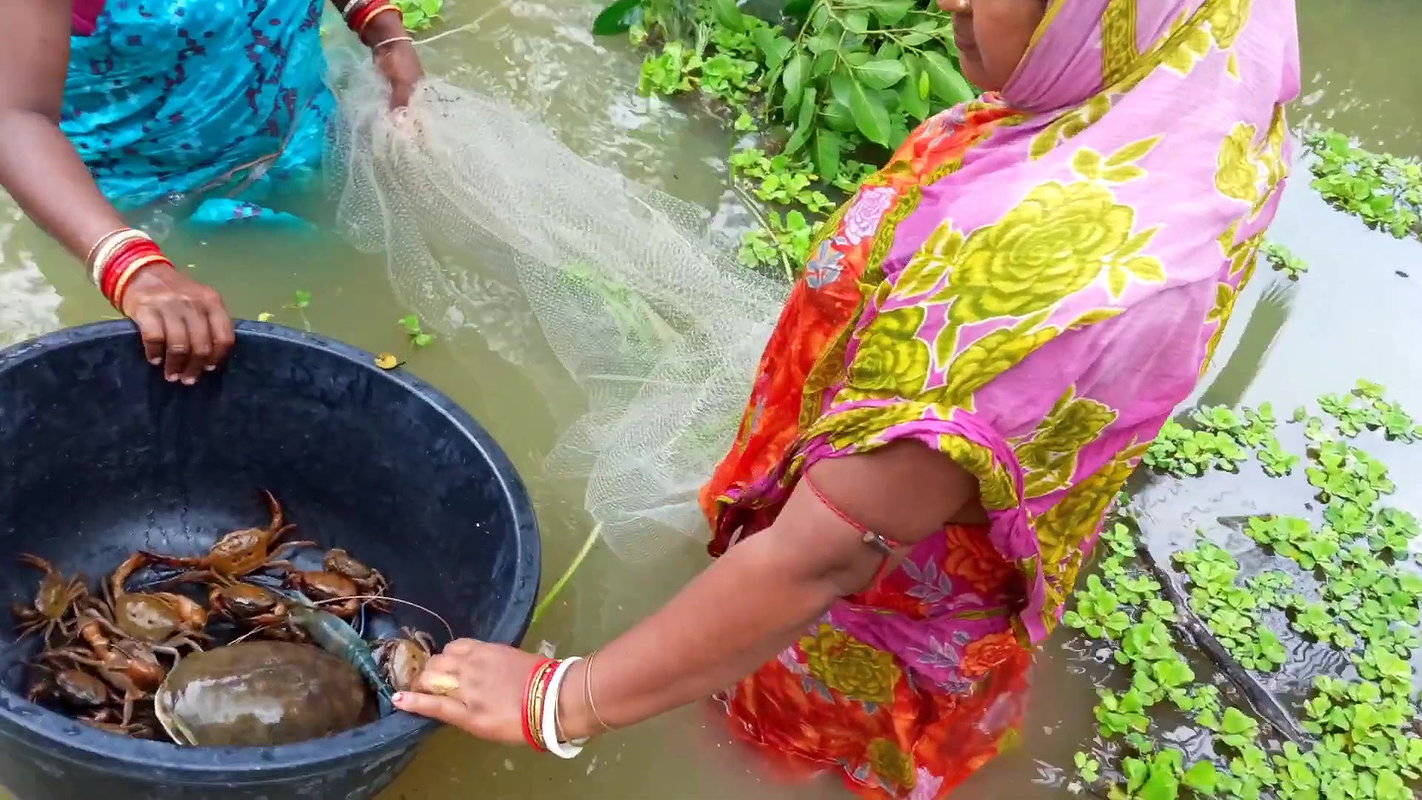 Amazing Village Women Traditional Fishing Techniqu