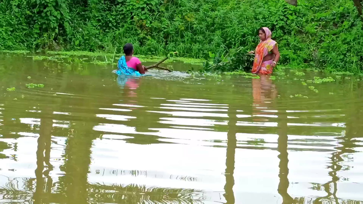 Amazing Village Women Traditional Fishing Techniqu
