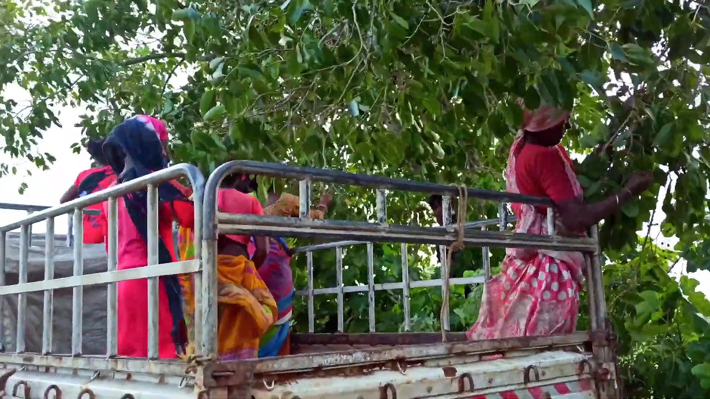 Amazing Village Women Traditional Fishing Techniqu
