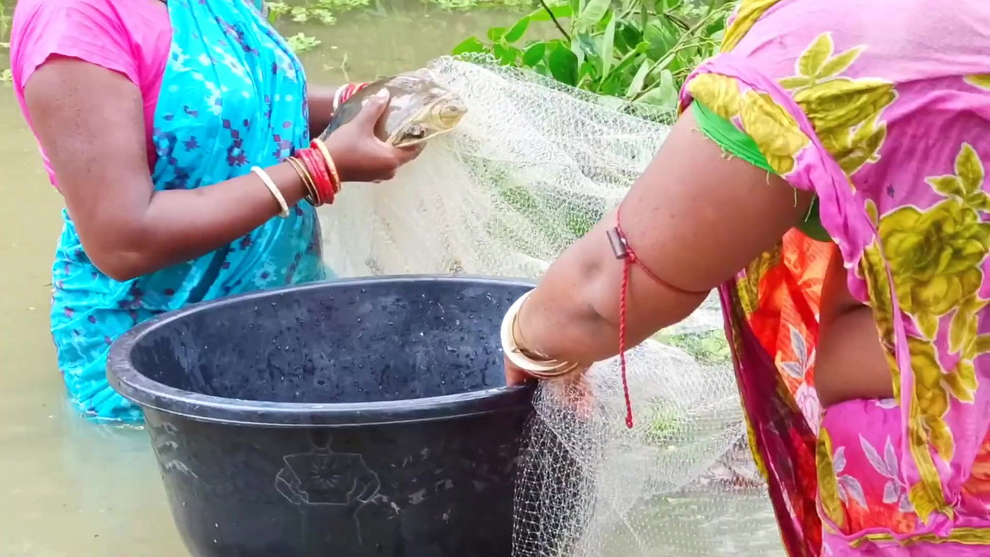 Amazing Village Women Traditional Fishing Techniqu