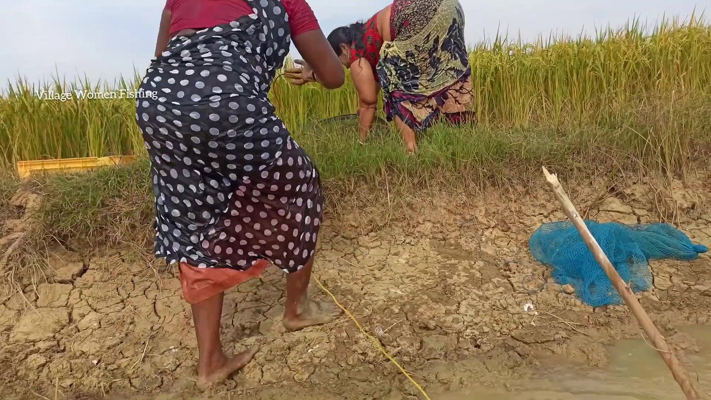 Amazing Village Women Traditional Hand Fishing   B