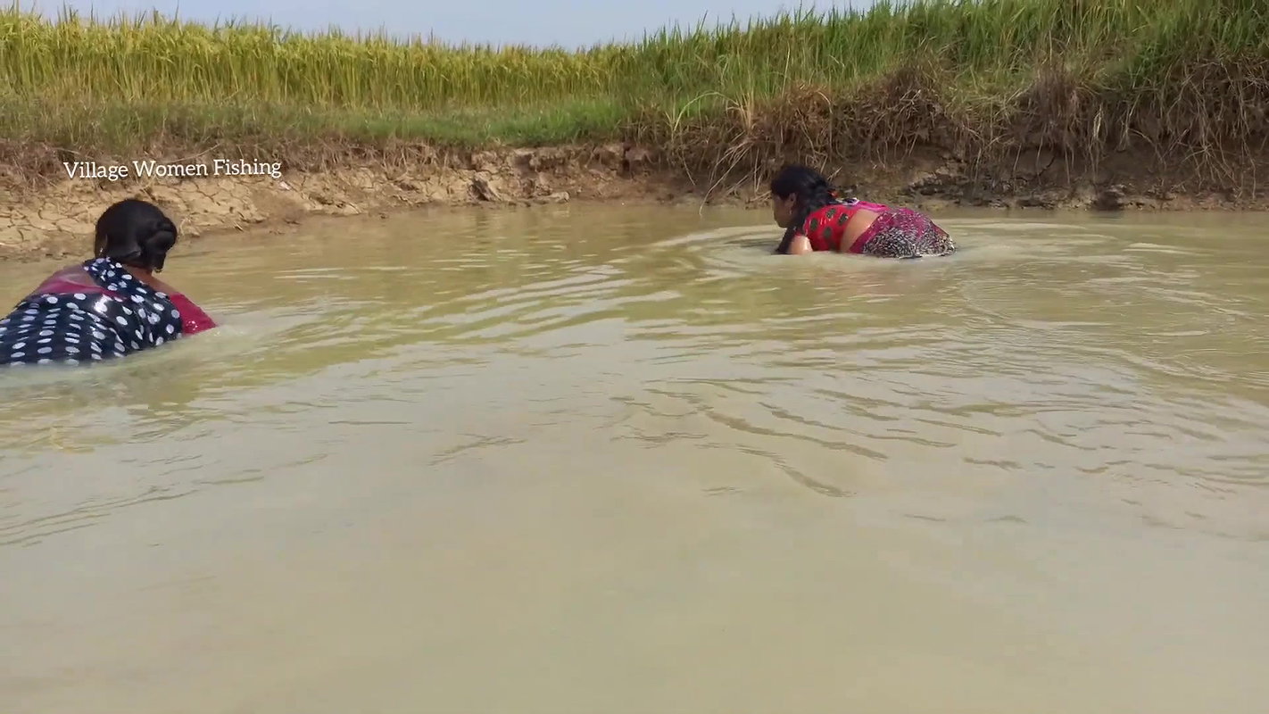 Amazing Village Women Traditional Hand Fishing   B