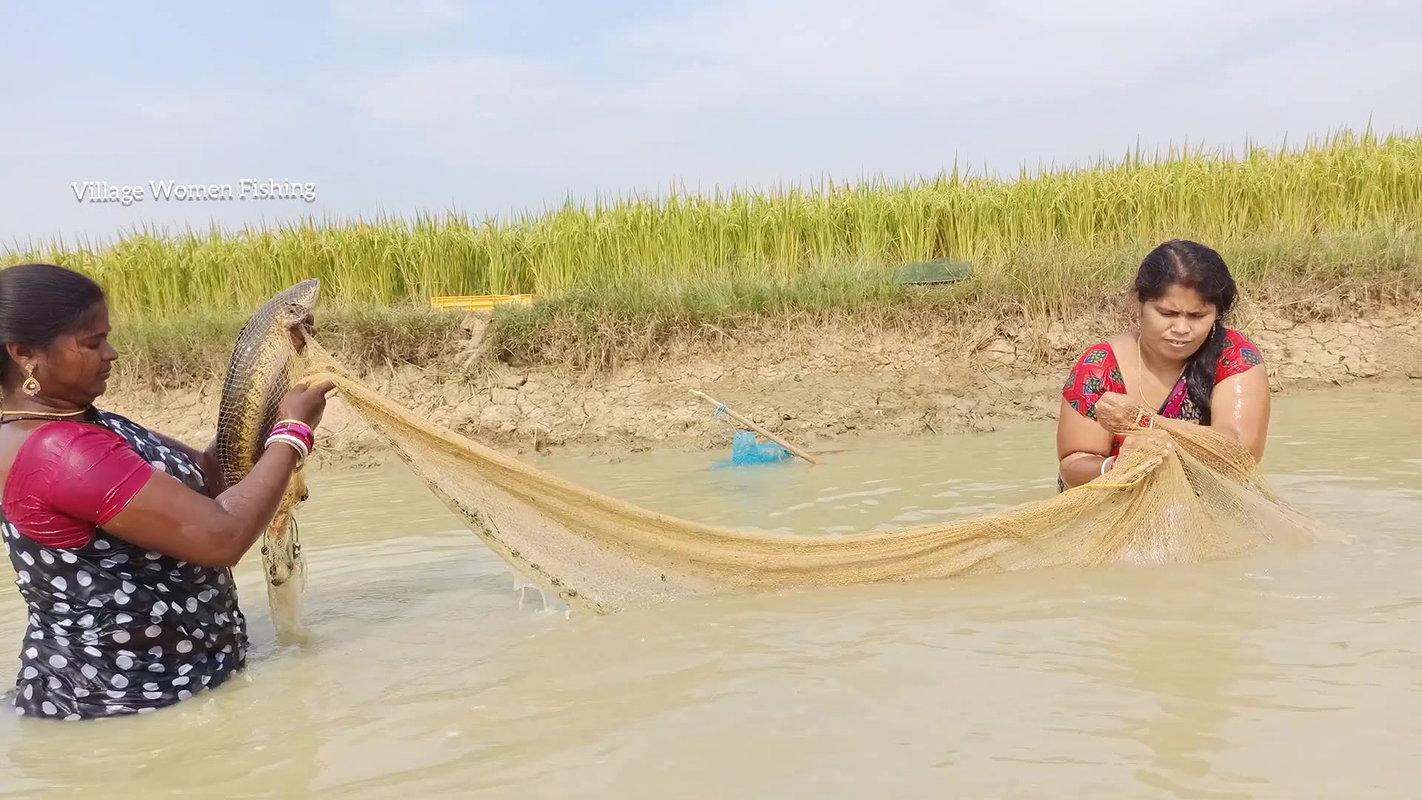 Amazing Village Women Traditional Hand Fishing   B