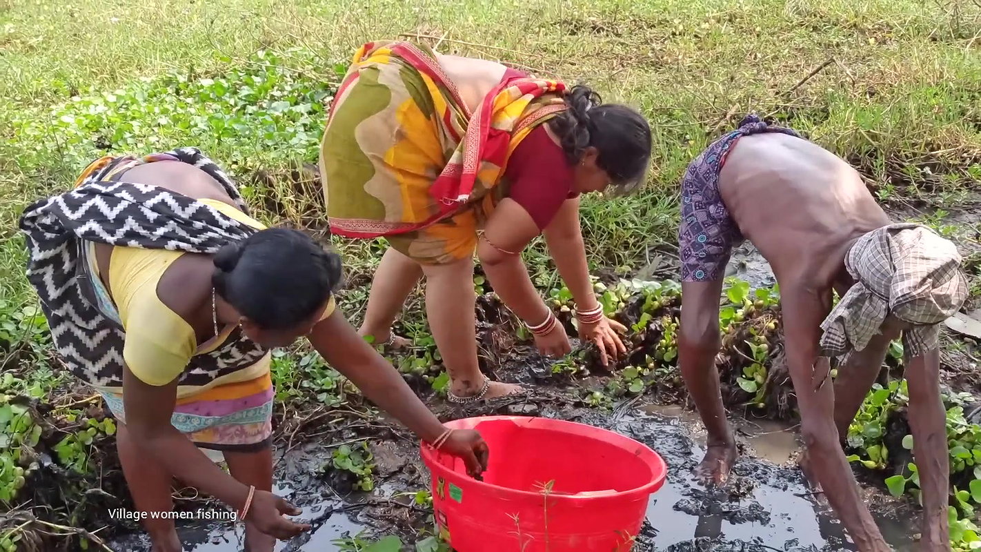 Amazing Village Women traditional hand fishing