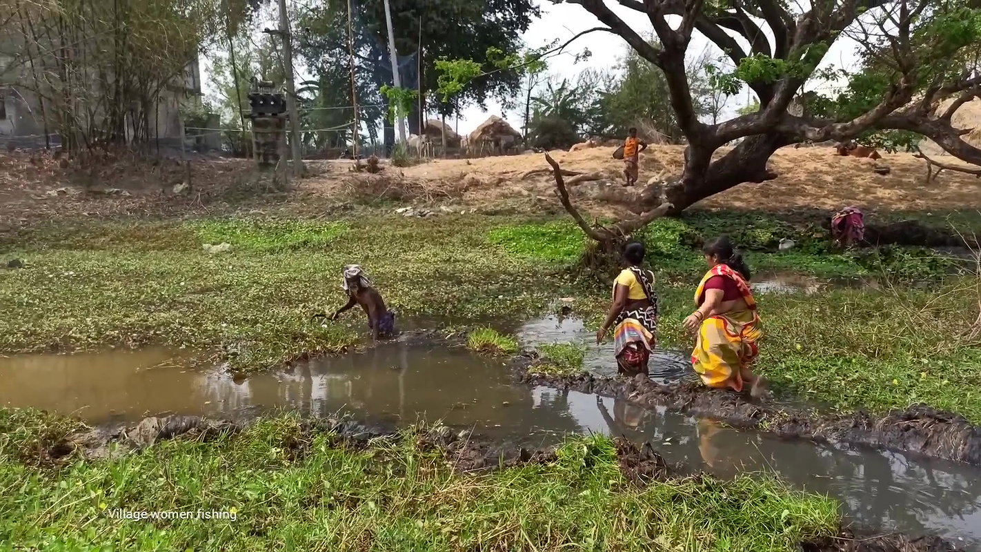 Amazing Village Women traditional hand fishing