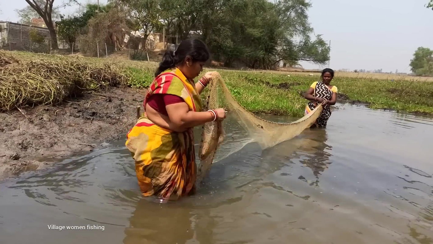 Amazing Village Women traditional hand fishing